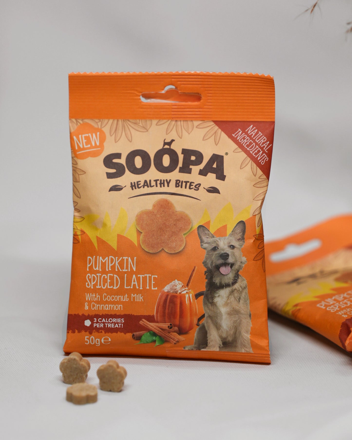 Pumpkin Spiced Latte