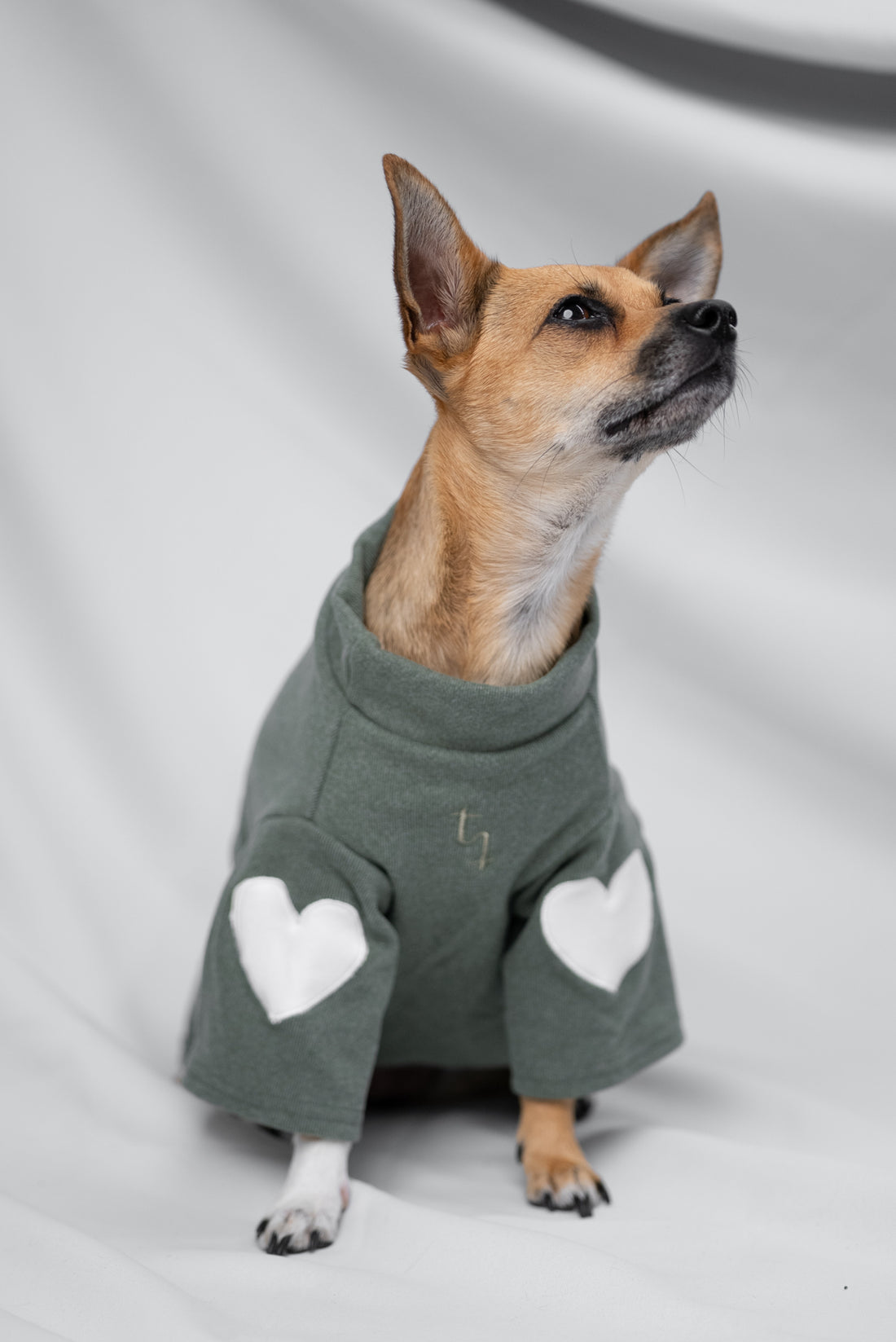 Matcha Herz Shirt