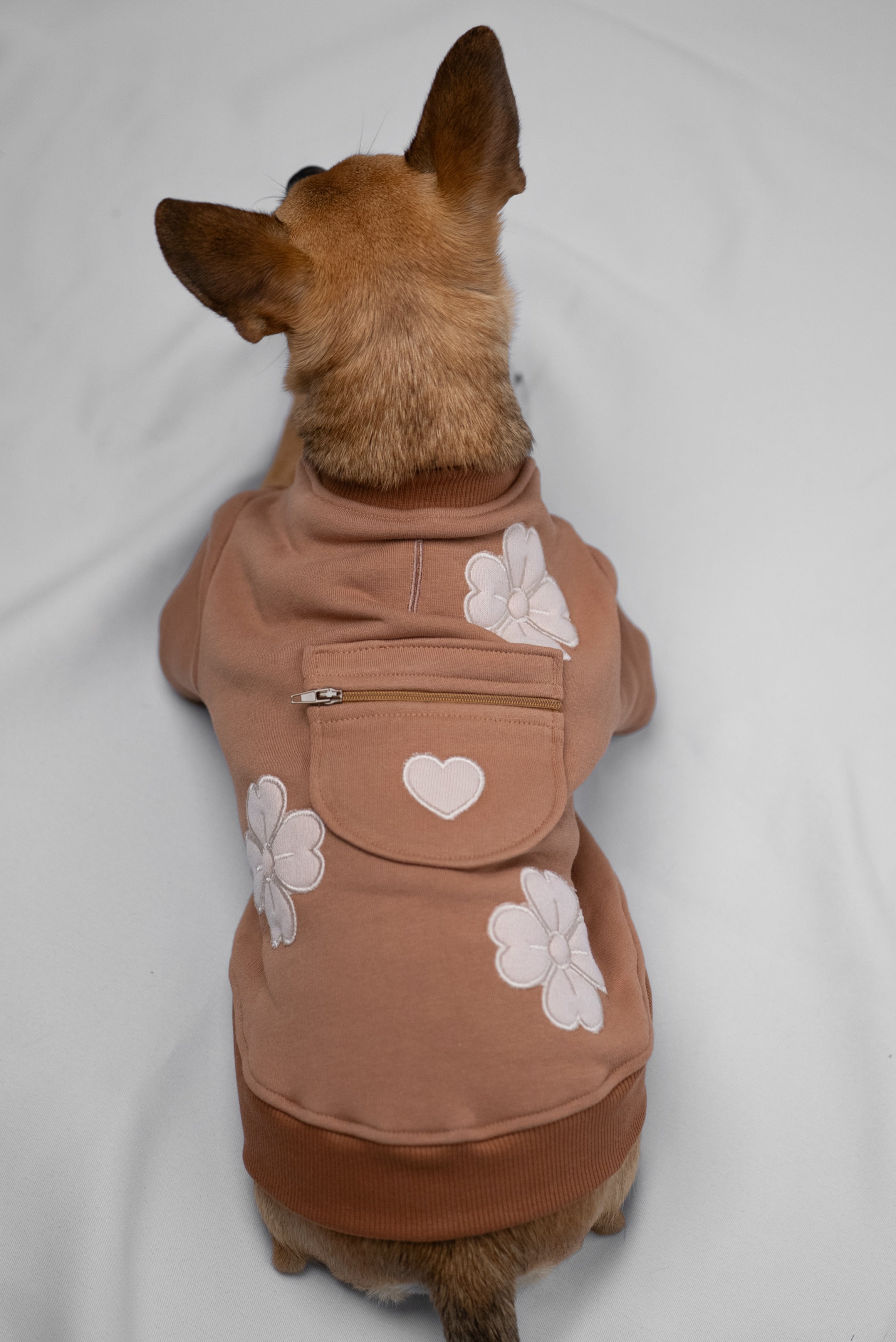 Lovepup Hoodie