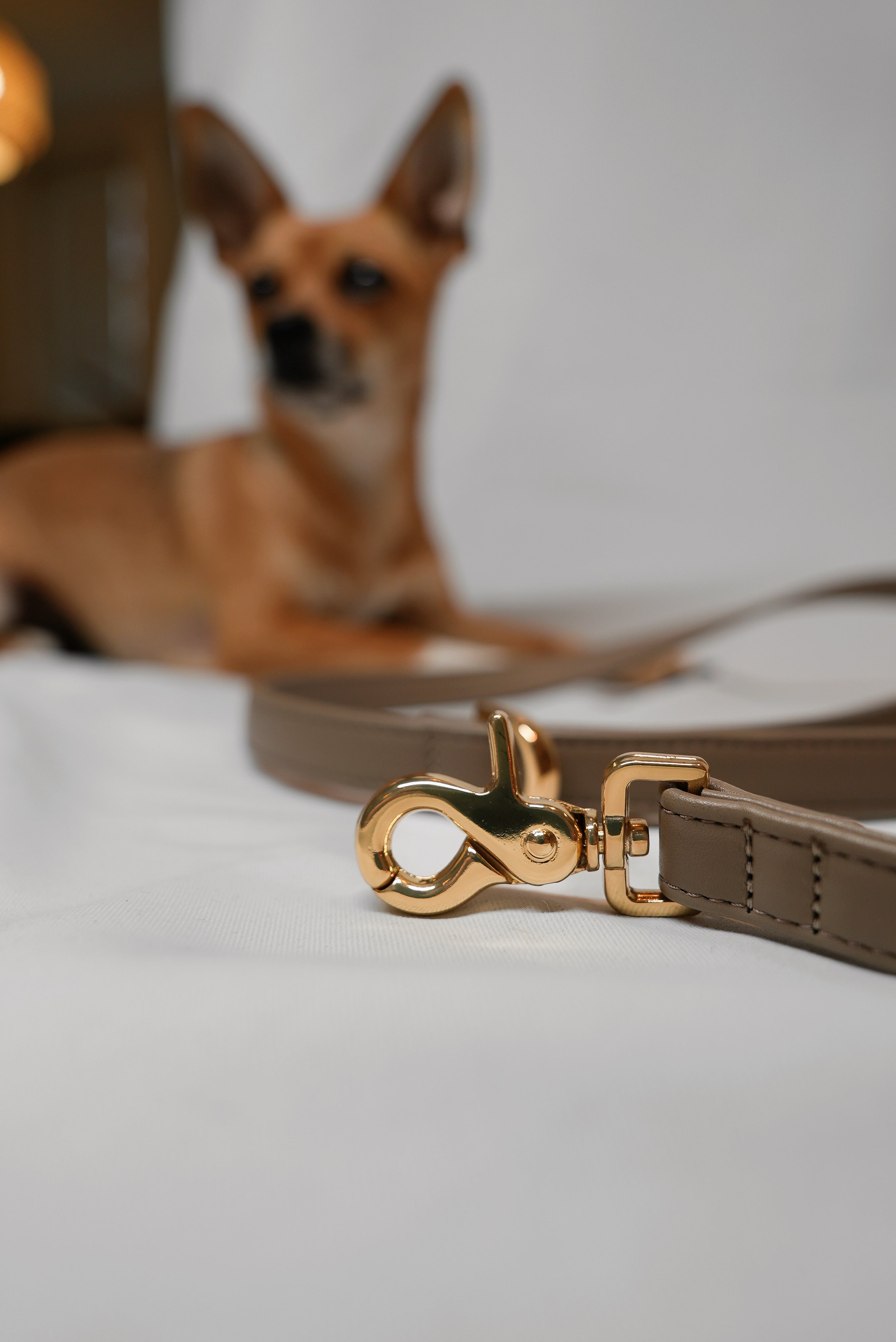 Leash- Side by side