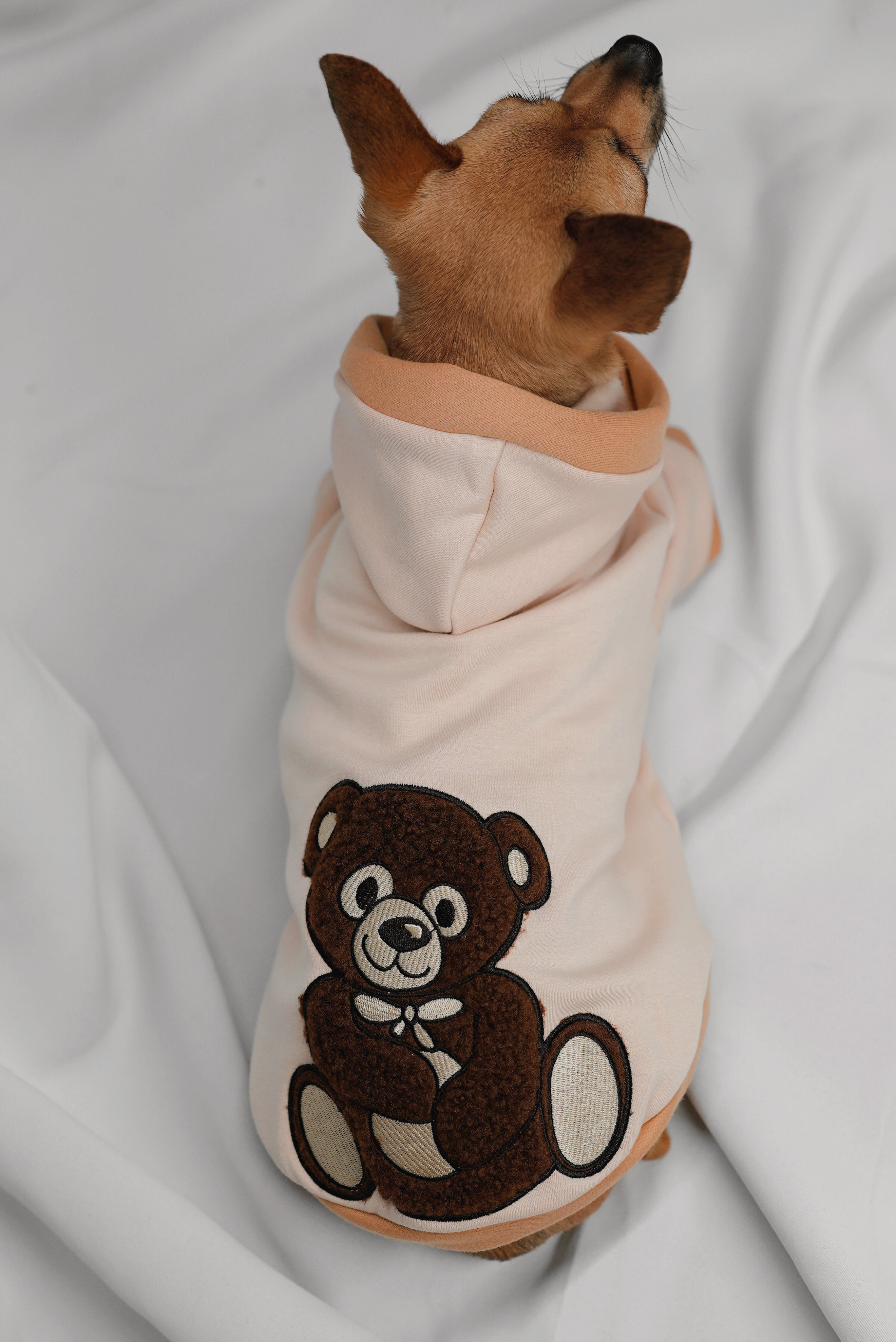 Teddy Hoodie