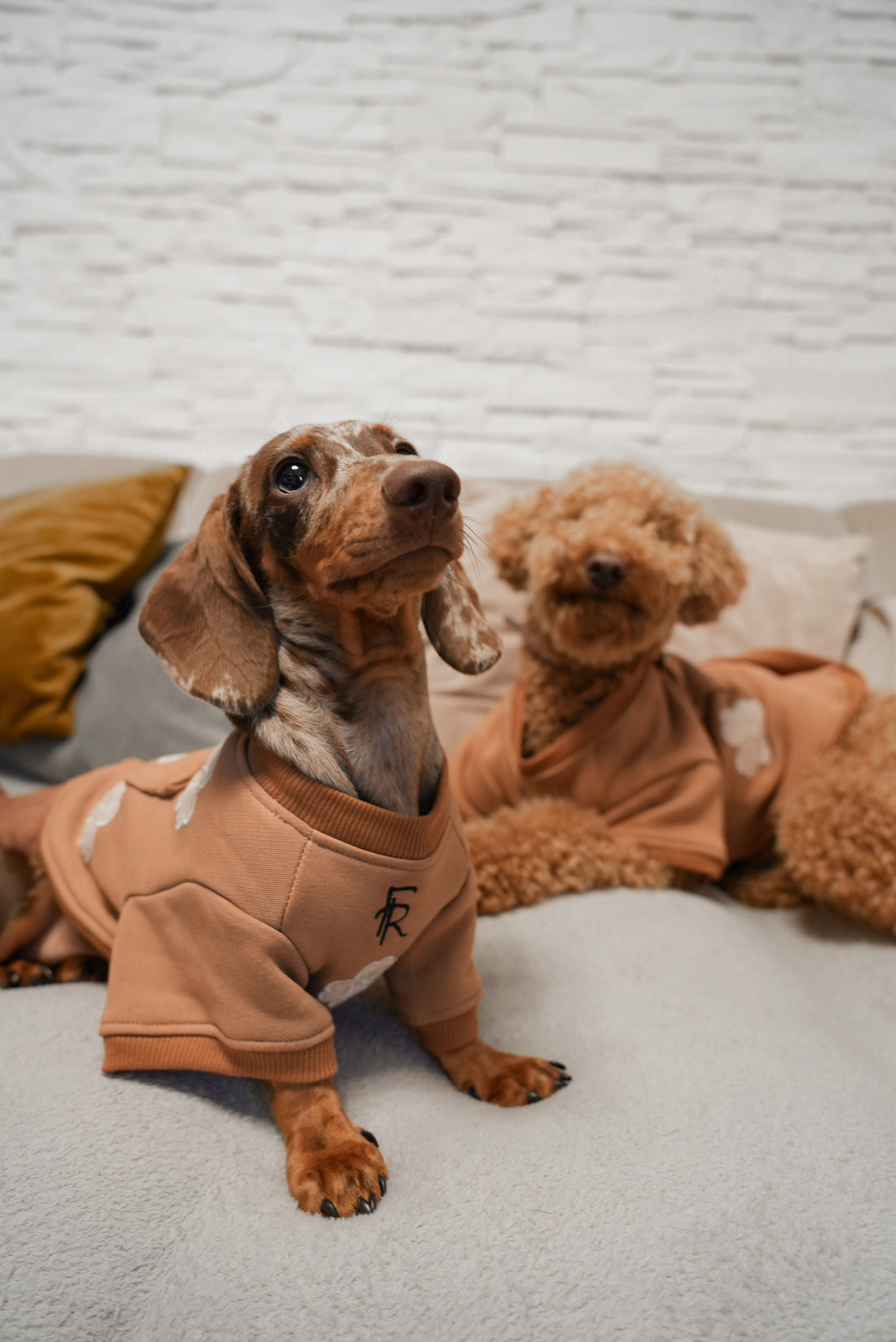 Lovepup Hoodie