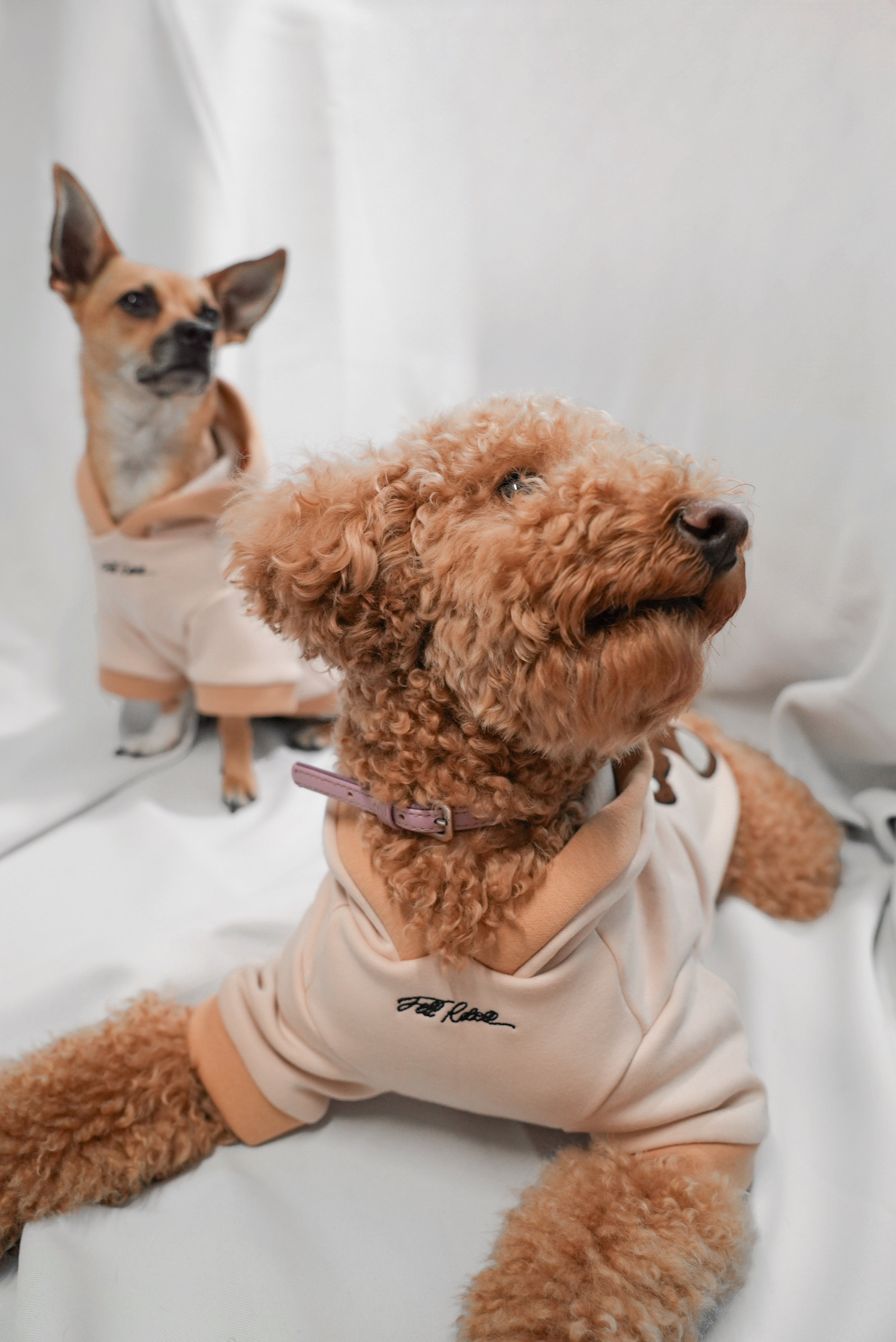 Teddy Hoodie