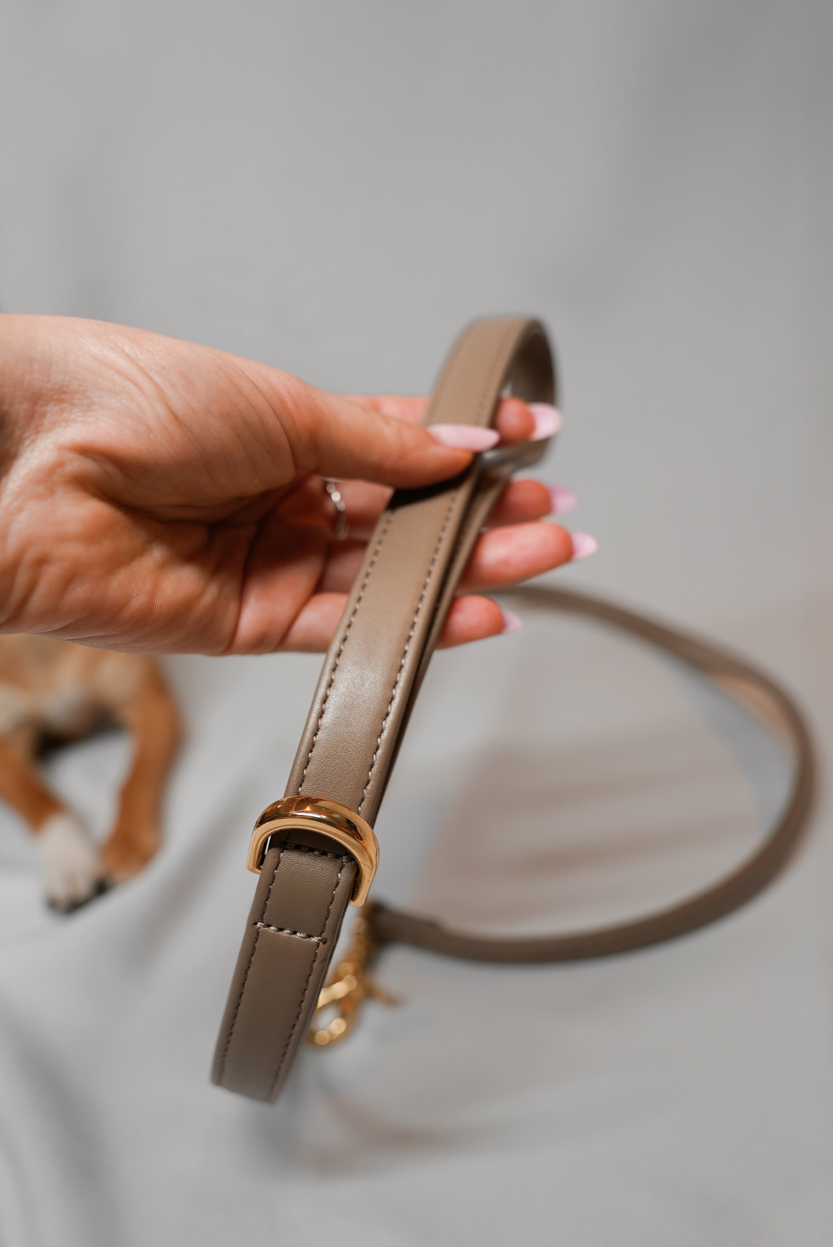 Leash- Side by side