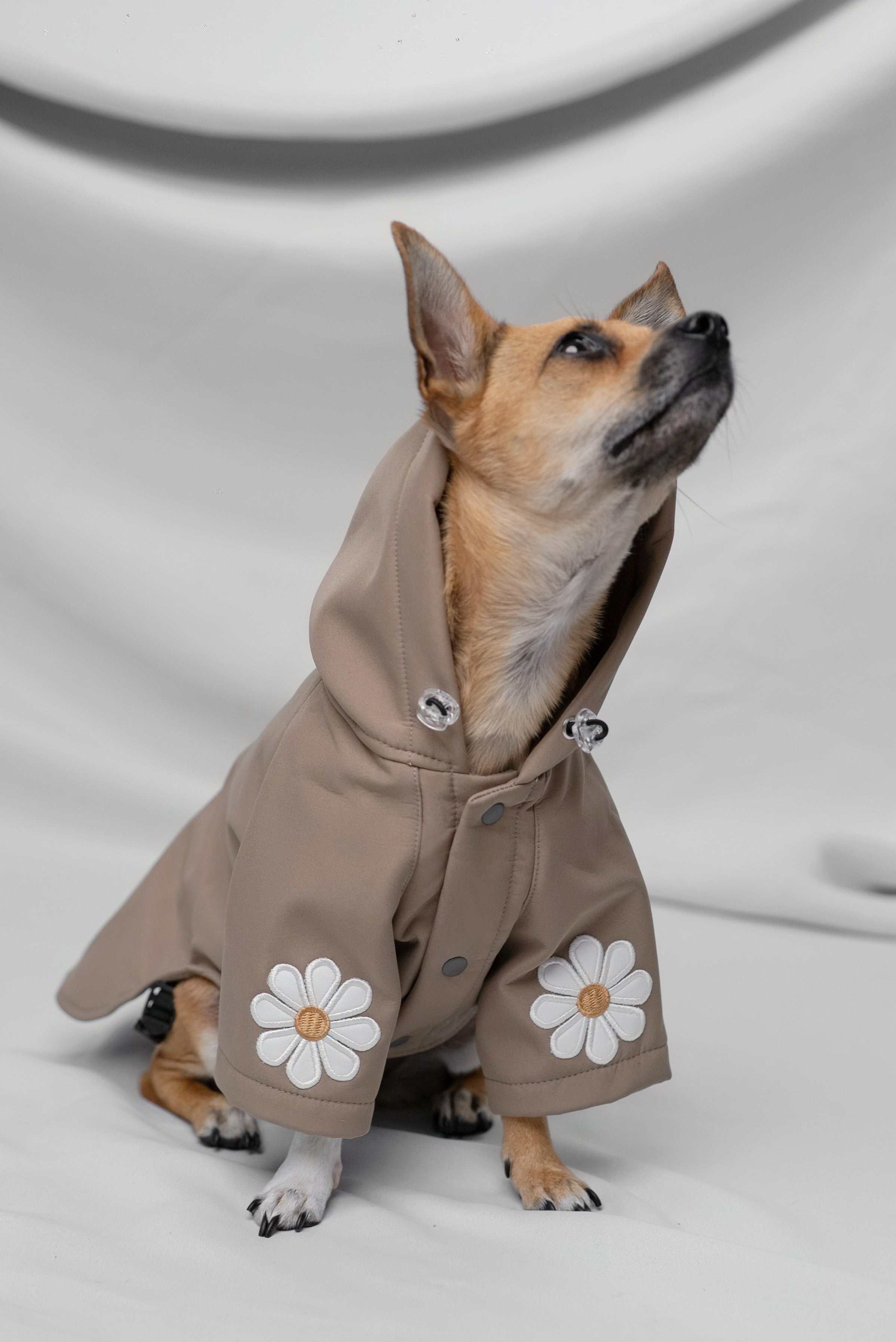 Rain Rebel