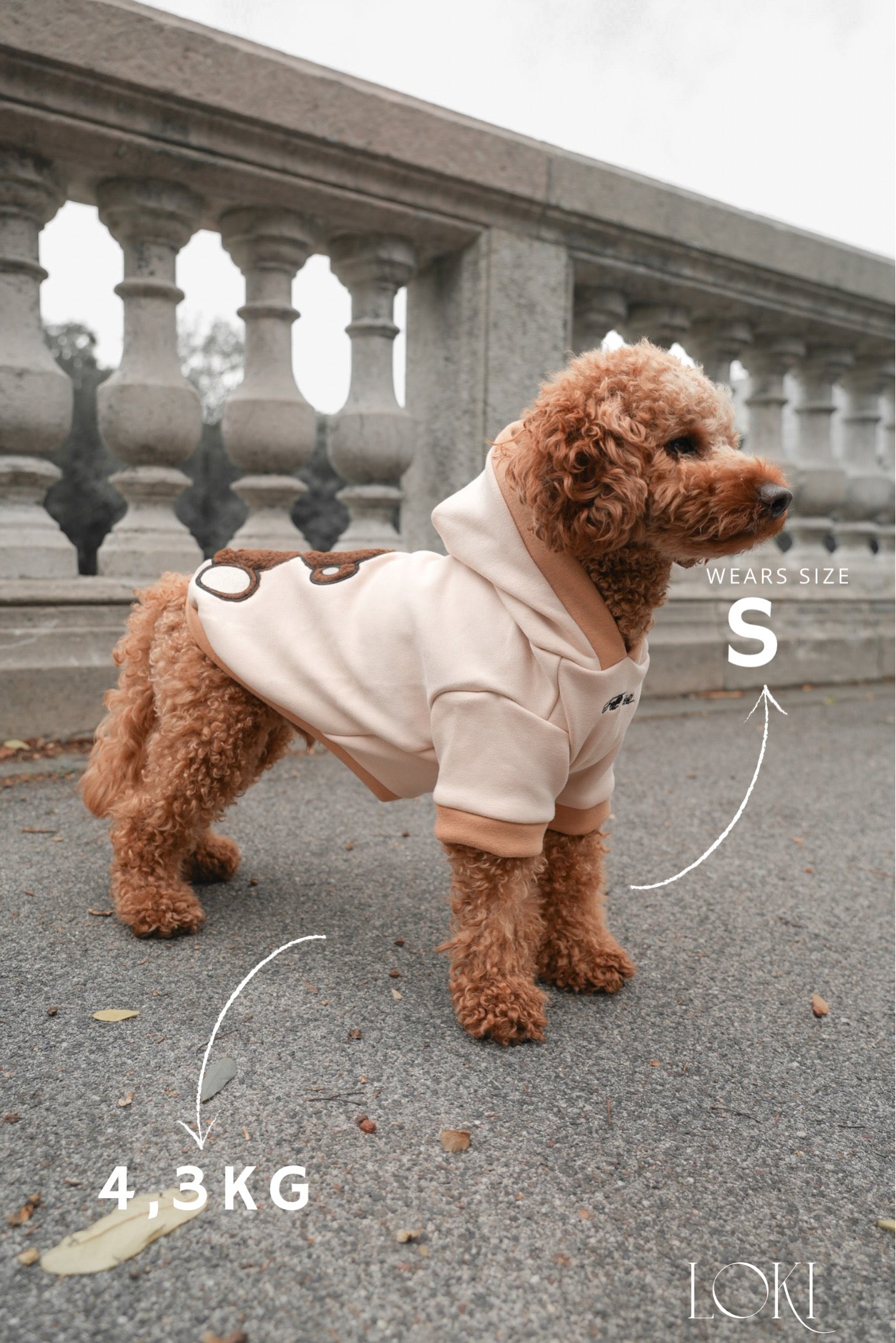 Teddy Hoodie