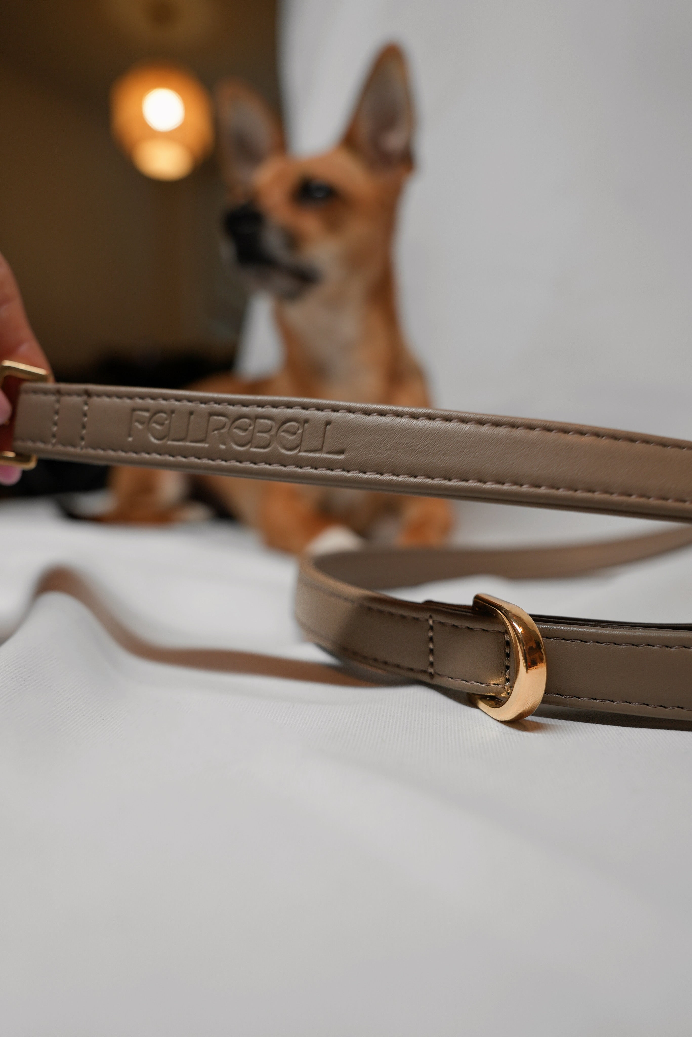 Leash- Side by side