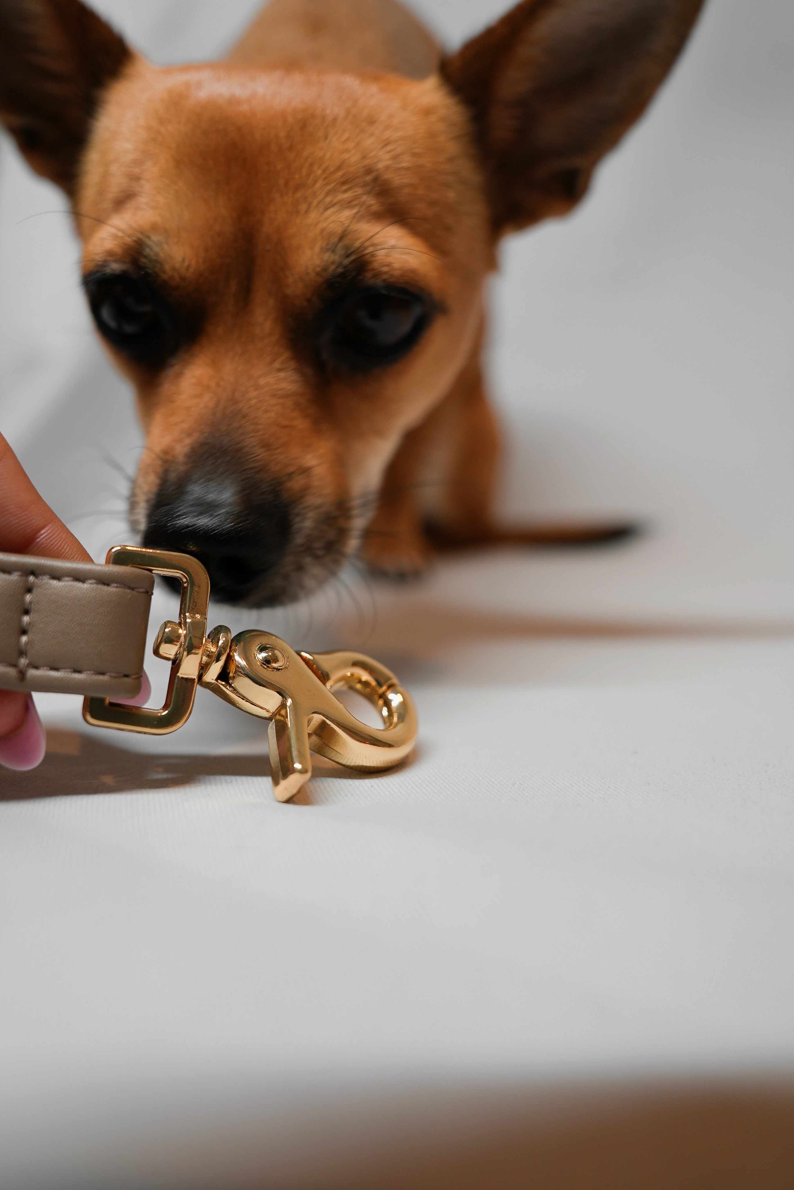 Leash- Side by side