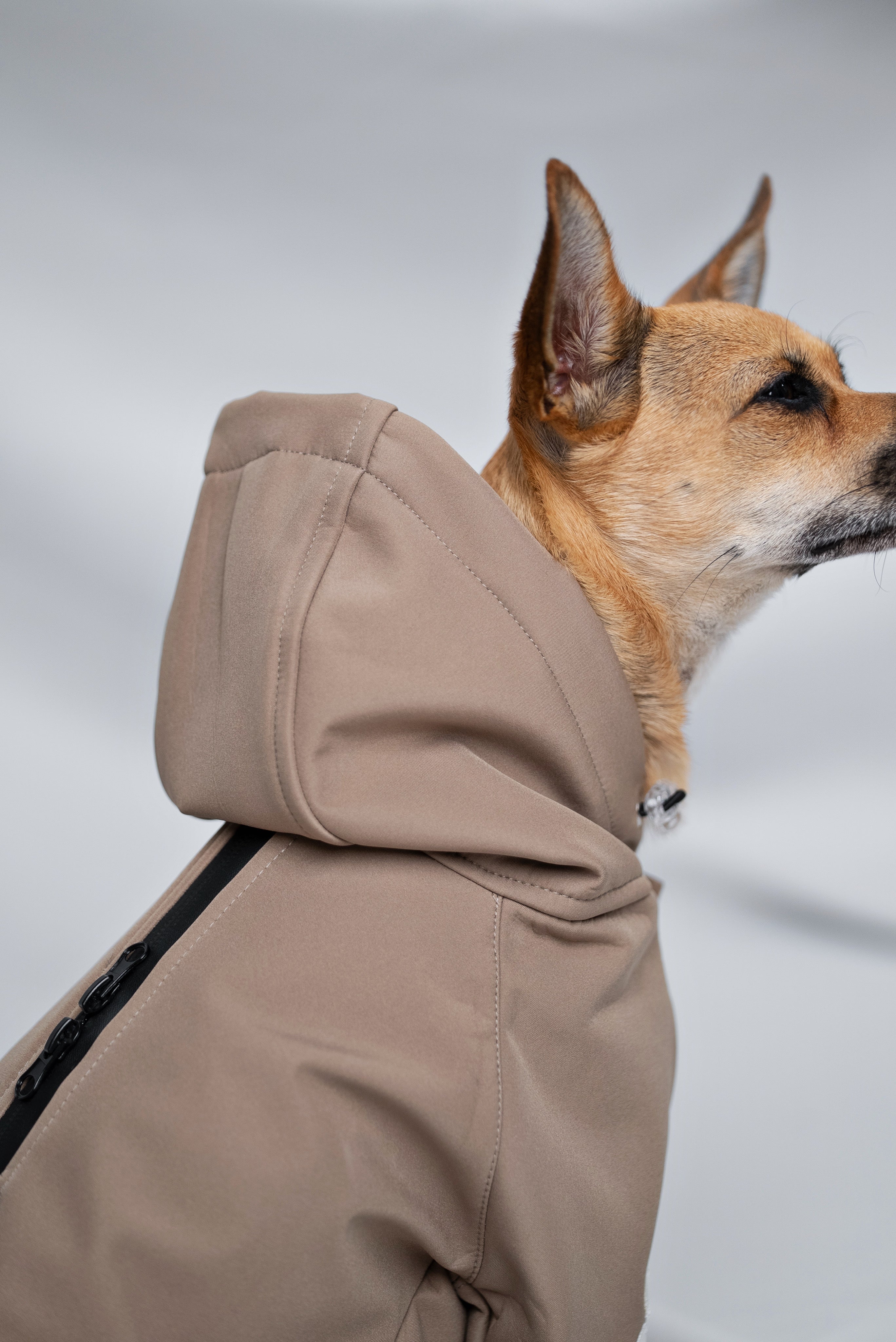 Rain Rebel
