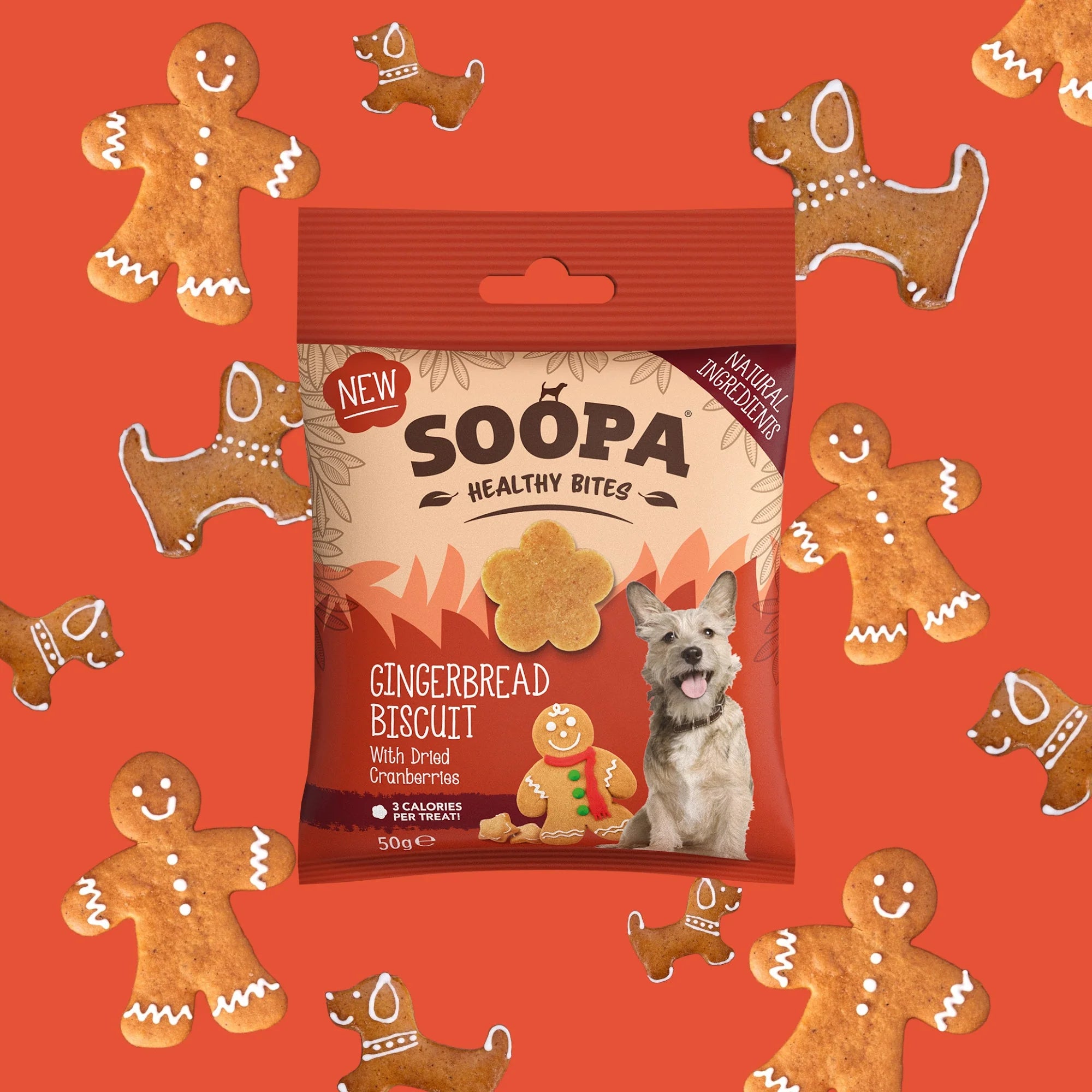 Gingerbread Biscuit