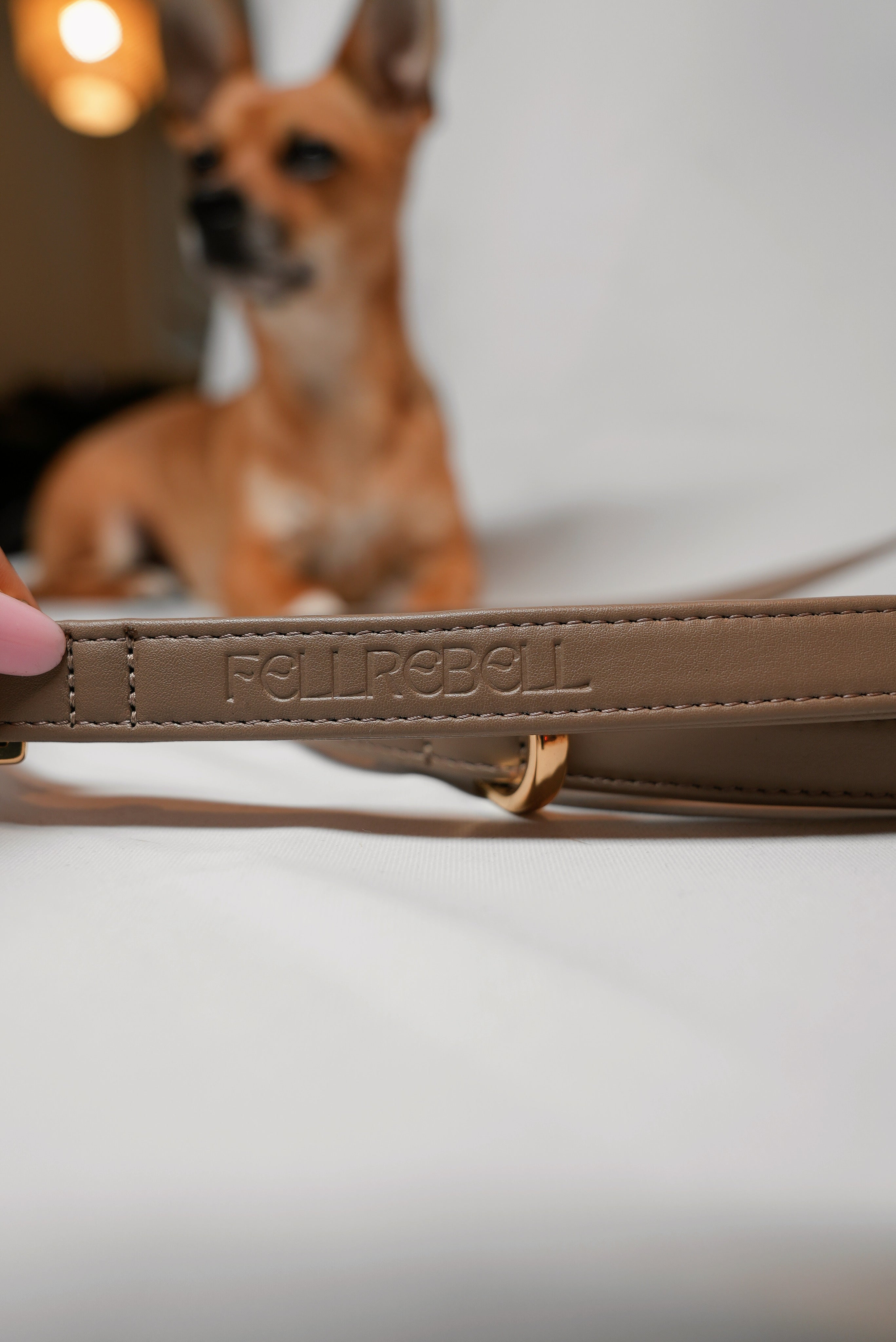 Personalisierte Leine