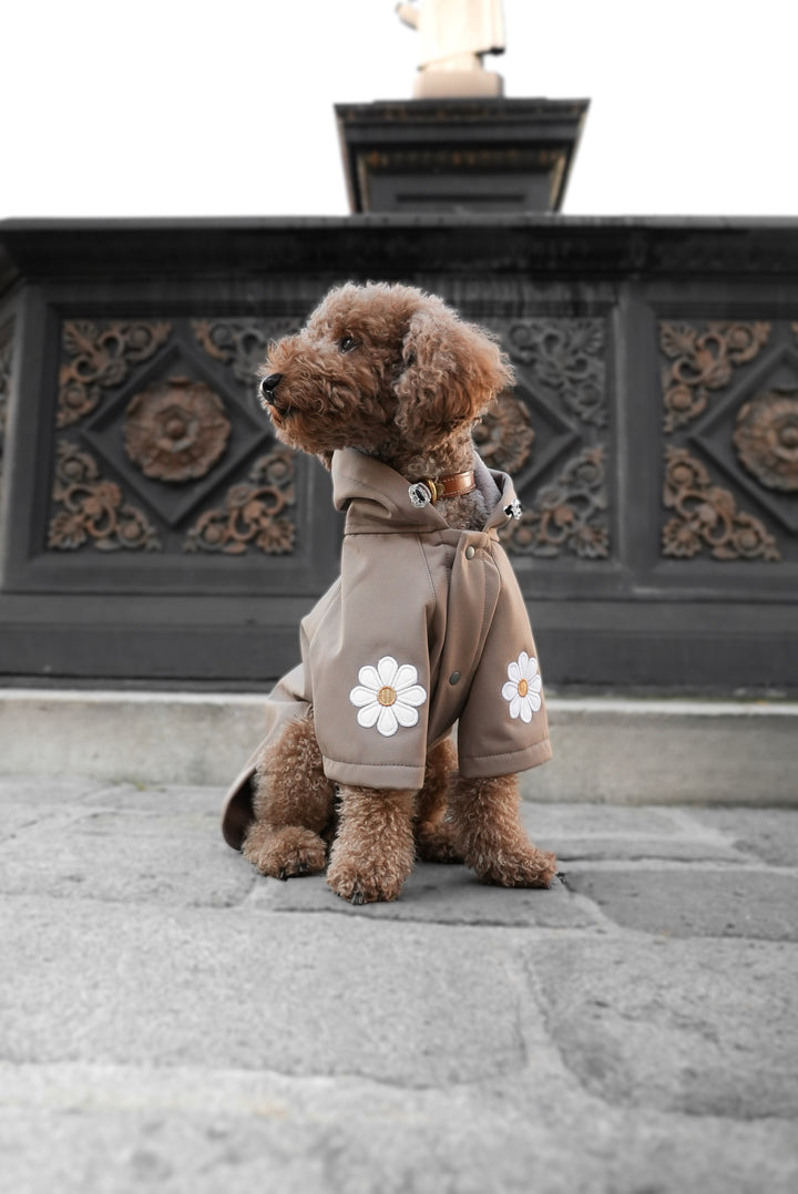 Rain Rebel
