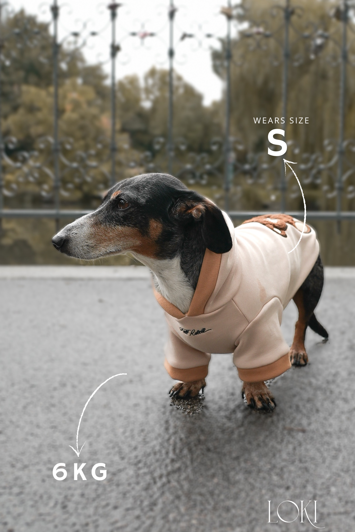 Teddy Hoodie