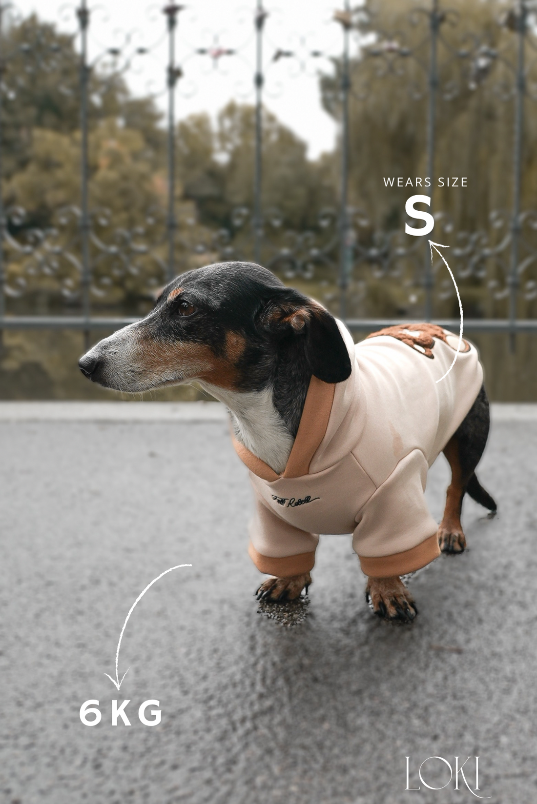 Teddy Hoodie