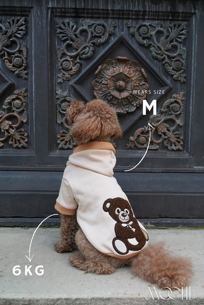 Teddy Hoodie
