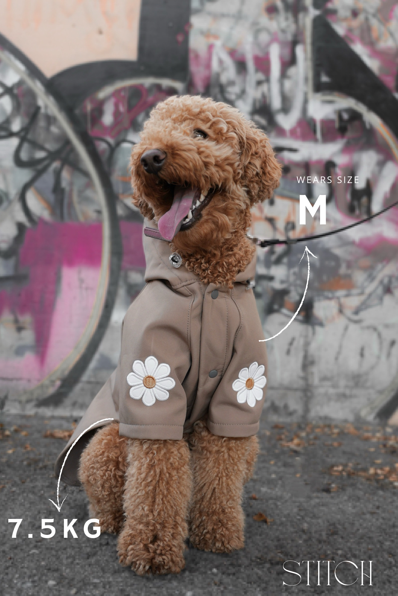 Rain Rebel