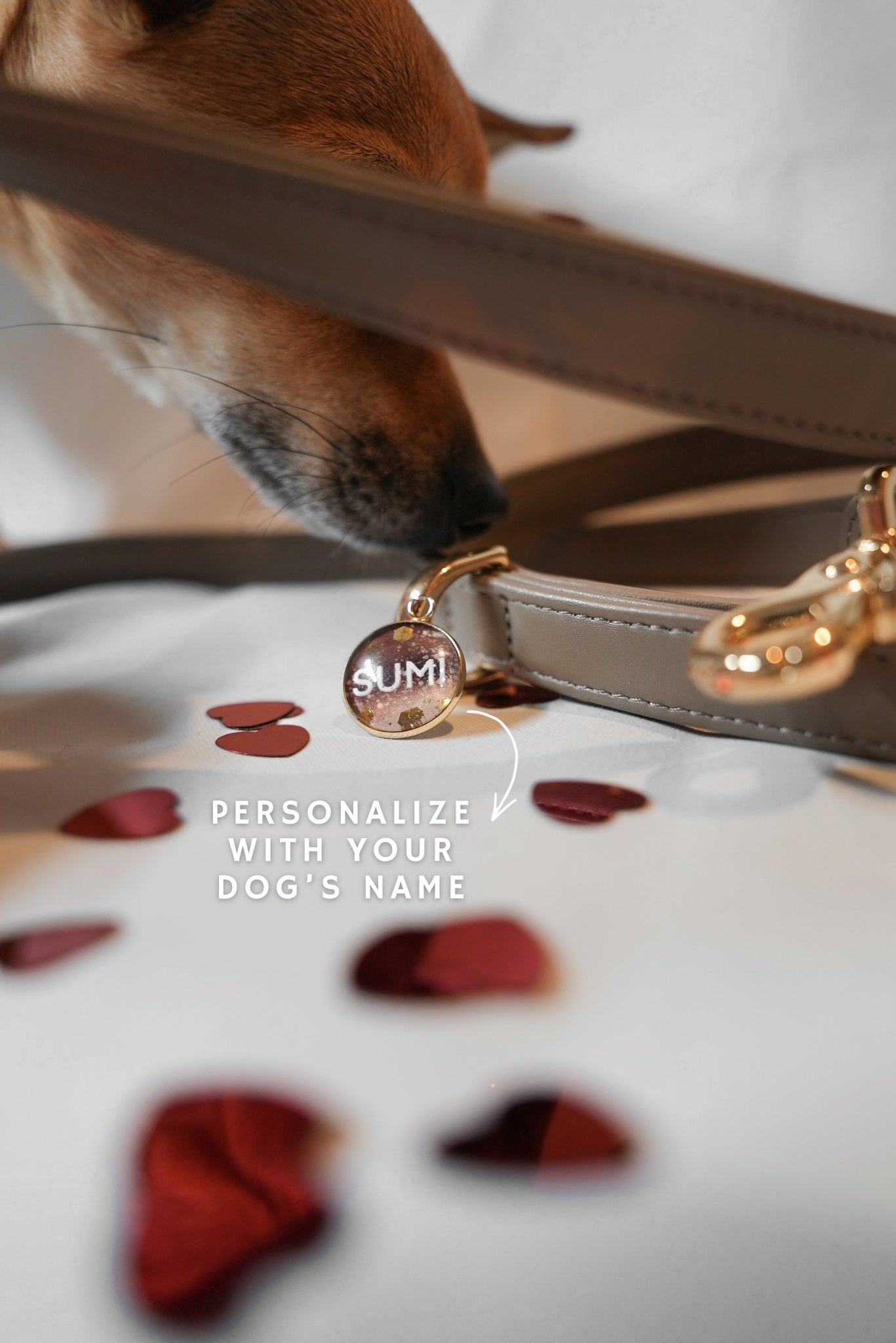 Personalisierte Leine