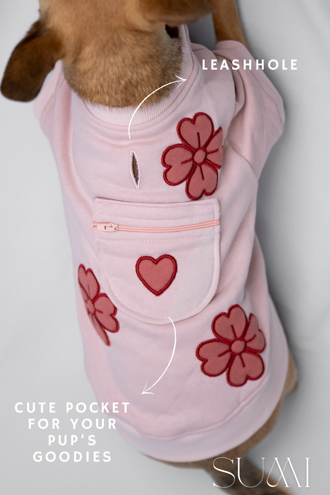 Lovepup Hoodie
