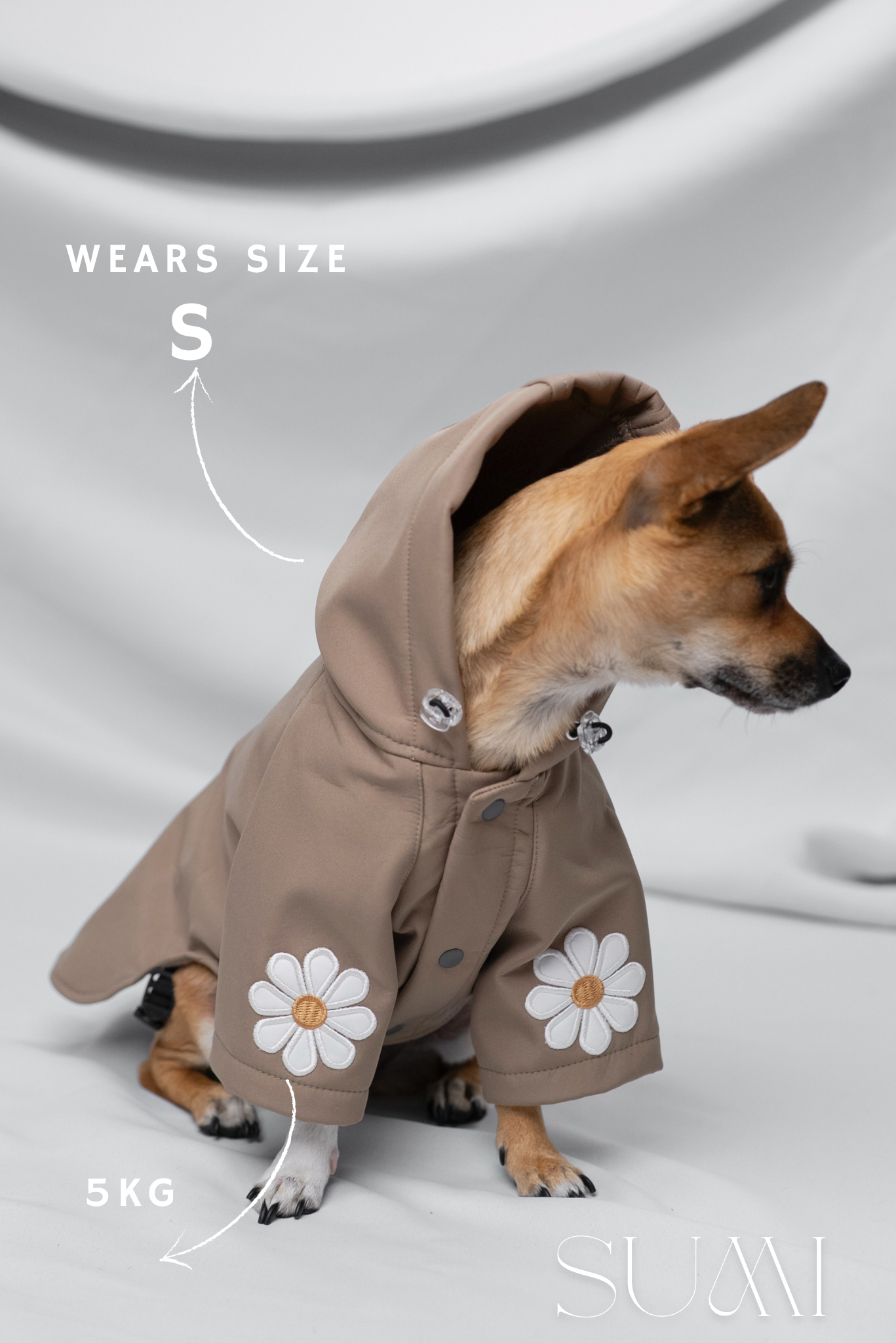 Rain Rebel