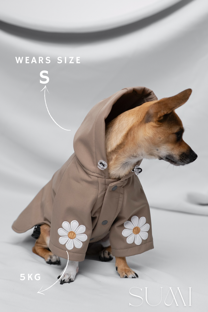 Rain Rebel