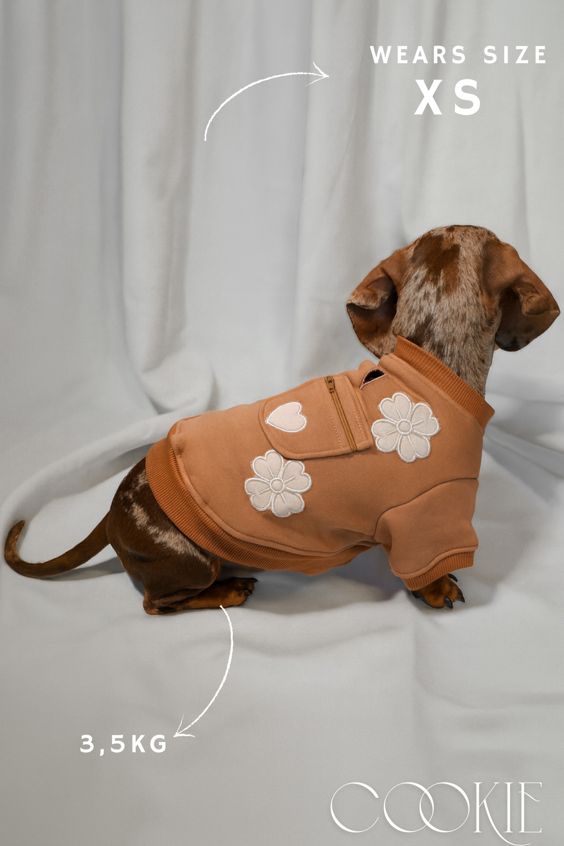Lovepup Hoodie