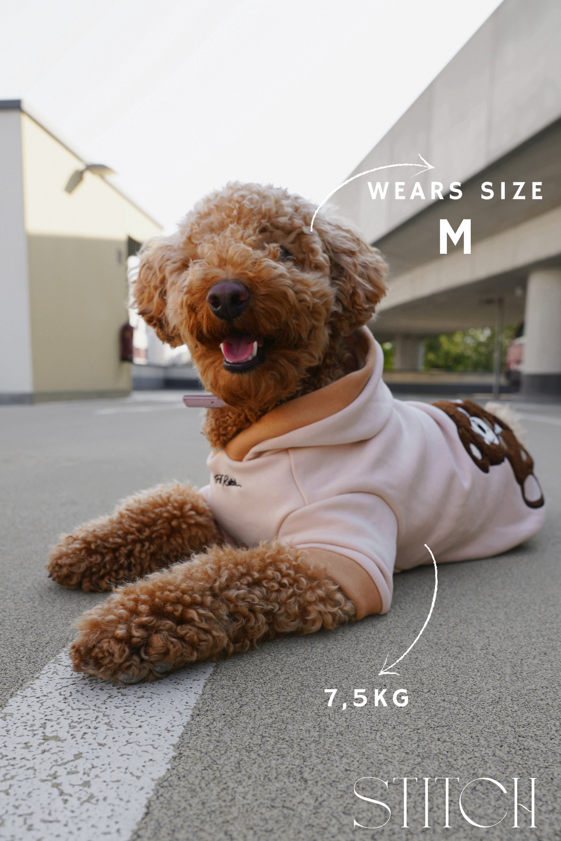 Teddy Hoodie