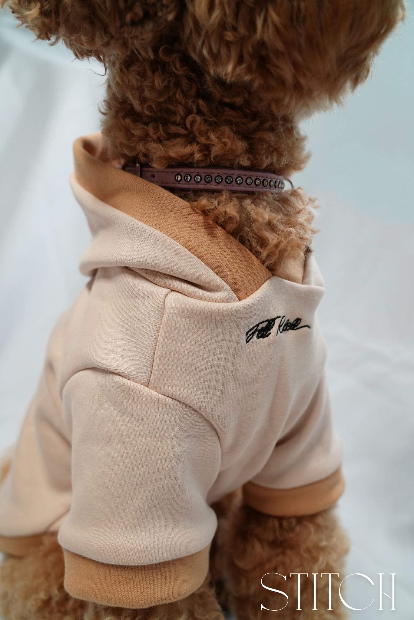 Teddy Hoodie