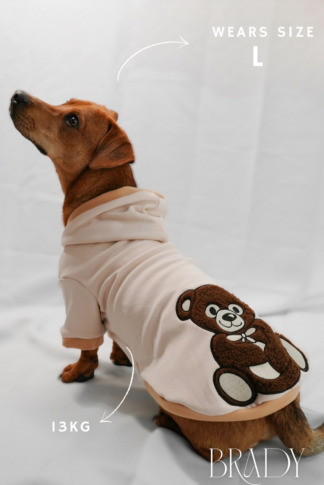 Teddy Hoodie
