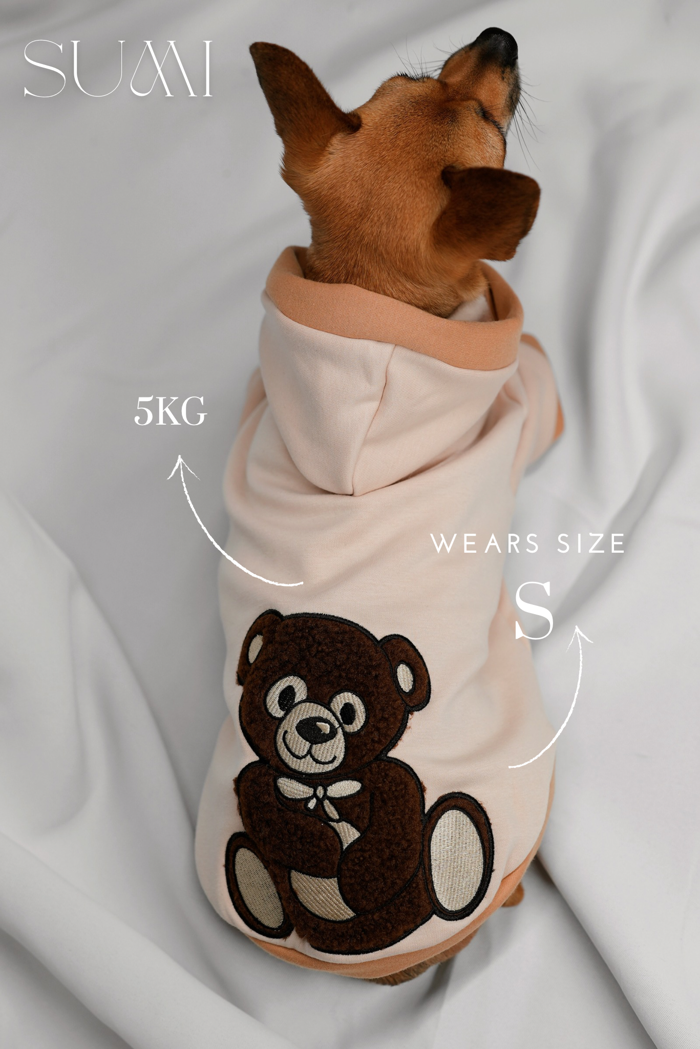 Teddy Hoodie