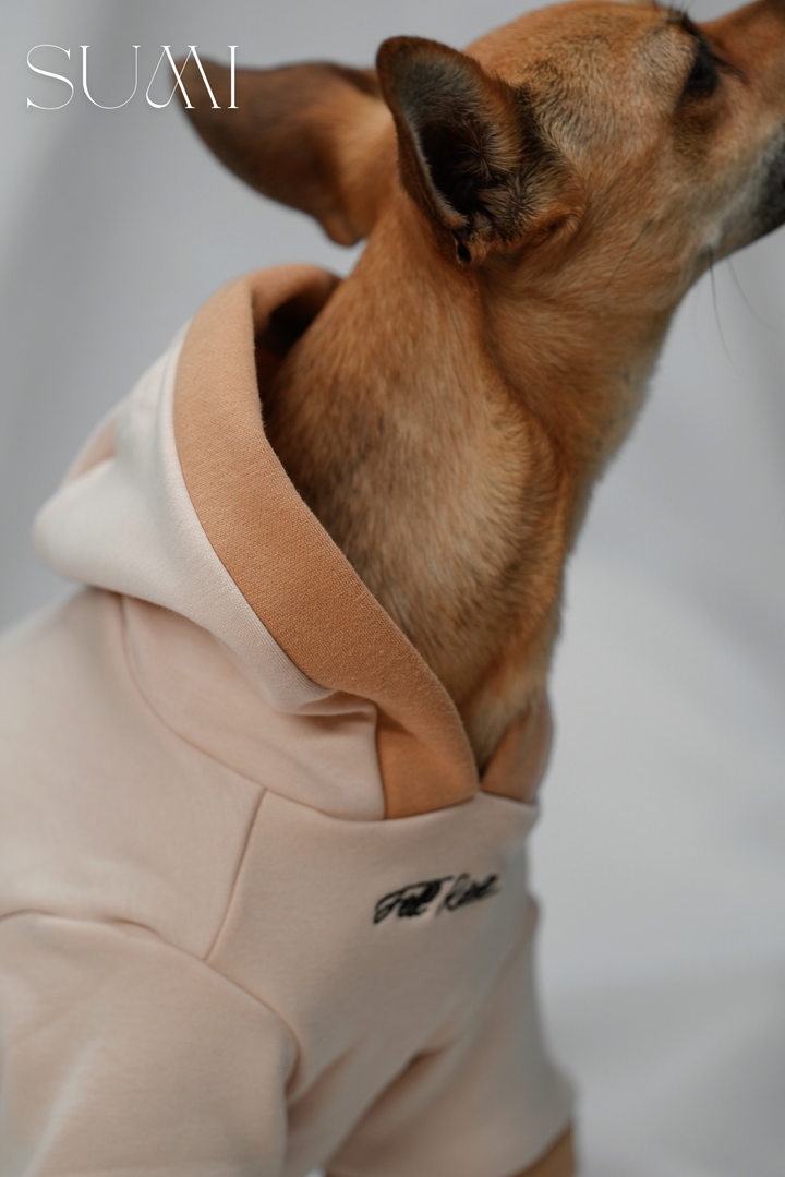 Teddy Hoodie